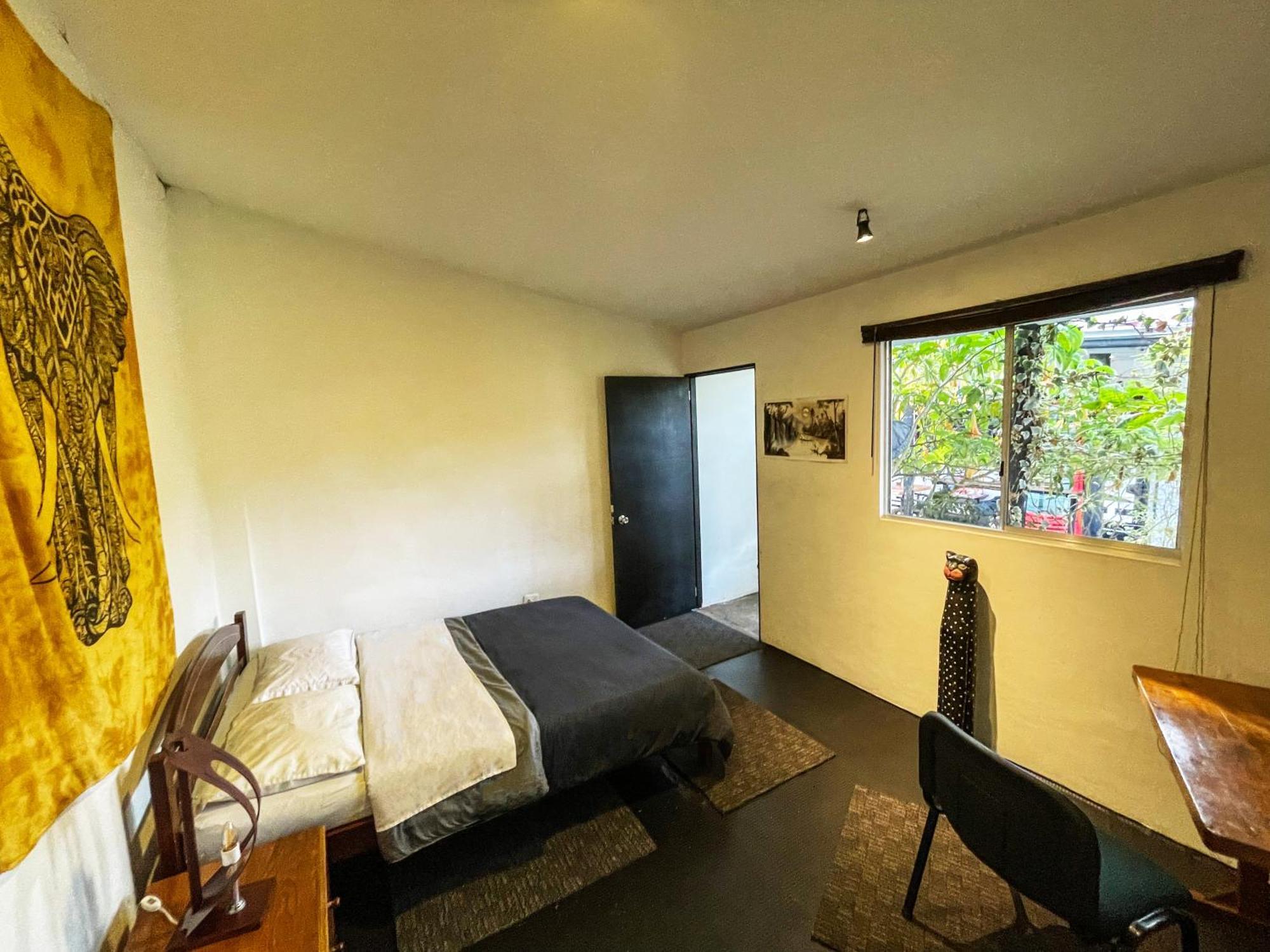 El Yarumo Hostel بوغوتا المظهر الخارجي الصورة