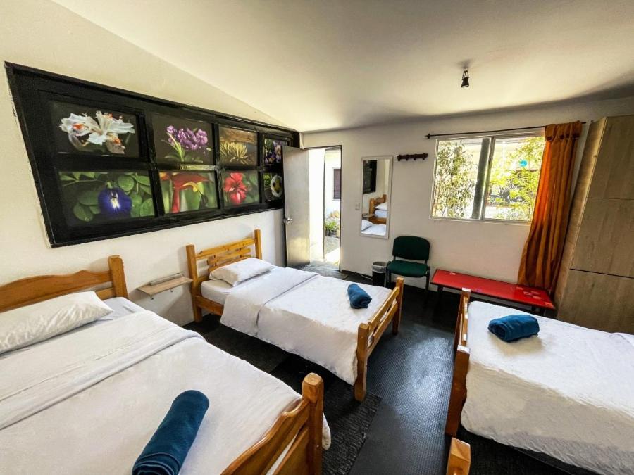 El Yarumo Hostel بوغوتا المظهر الخارجي الصورة